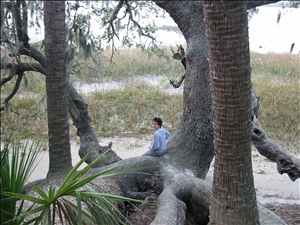 020127 hilton head etc IMG_0220.jpg